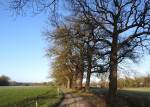Loninkvoetpad